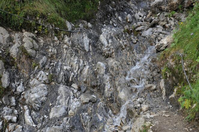 Mergel- und Kalksteine der Allgäu-Formation