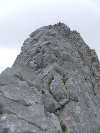 Gratrücken
