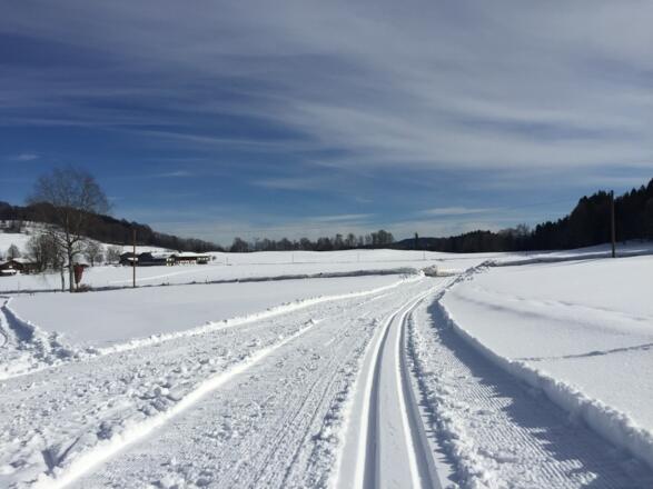 Nach der Straße führt eine Schleife weiter, oder links zurück zum Parkplatz
