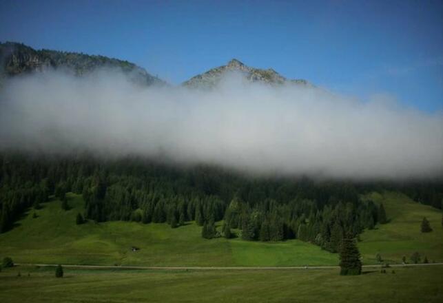 Fewo Löffler   Haus Tina