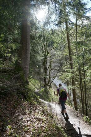 Es folgt ein meist eben verlaufender Genussabschnitt durch den Wald.