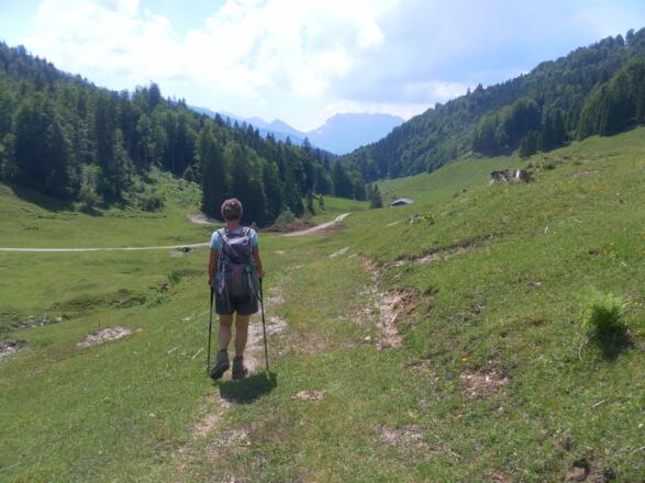 zur Pötschalm