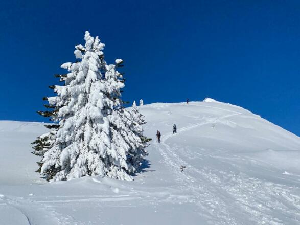 Südkuppe der Sichelwand