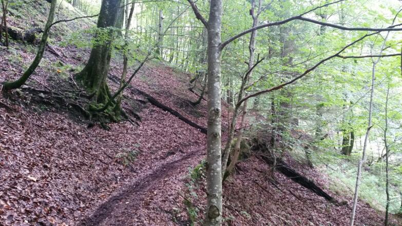 ausgezeichnete Trails auch am Dopplersteig