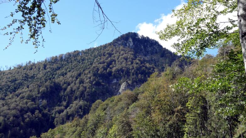 Blick zum Windhagkogel