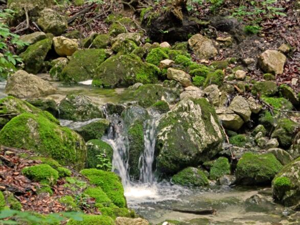 Im Quellgebiet des Gerner Baches