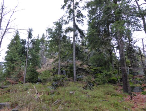 Bärenriegel 1.017 m