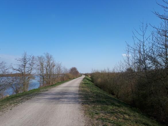 Donaudamm zwischen Donau und der Großen Laber