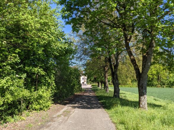 Weg zum Schloss Bergheim