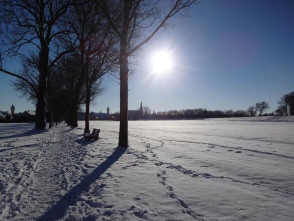 Allee auf der Insel Gstütt