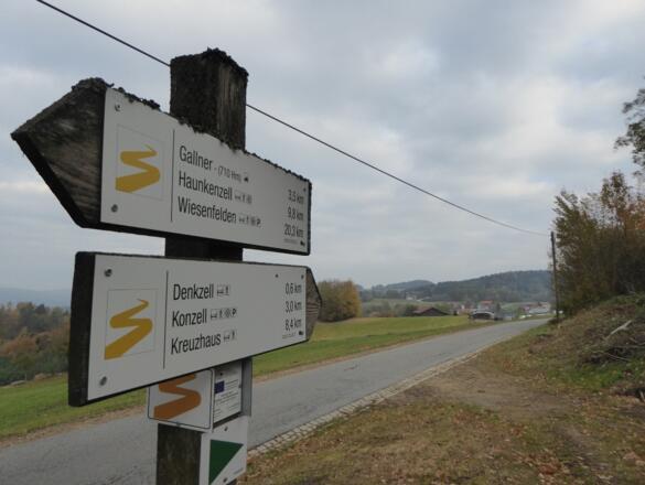 Goldsteigmarkierung vom Gallnerkirchlein zurück nach Denkzell