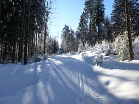 Anstieg vor der Knogl-Loipen-Abzweigung