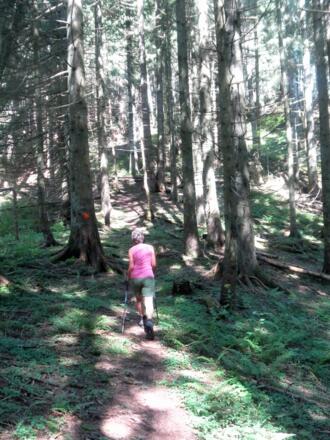 markierter Gipfelanstieg