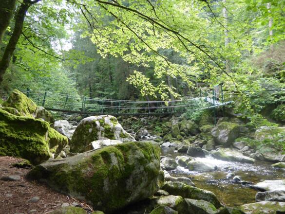 Buchberger Leite - Hängebrücke