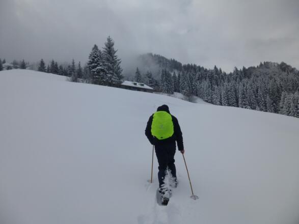 Auf dem Weg zur oberen Mittelberg-Alpe