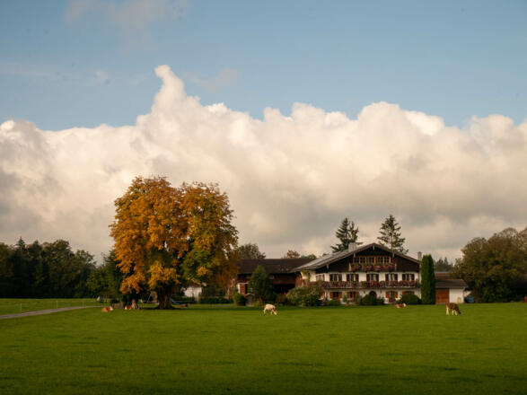 Aussiedlerhof im Herbst