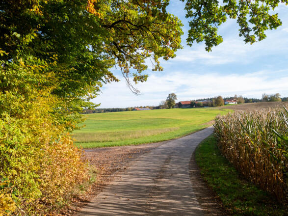 tolle Herbstlandschaft