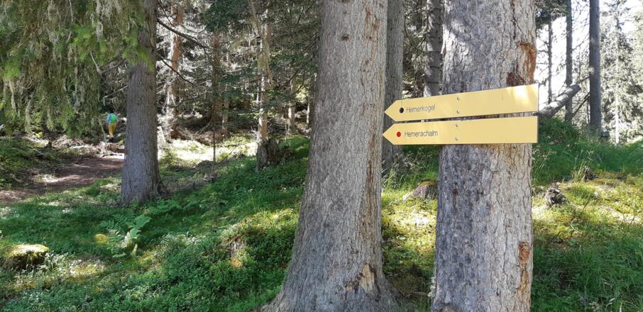 ... macht die Orientierung leicht. Urig, romantisch und ...