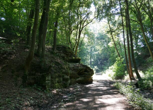 Jacobsweg bei Altenthann