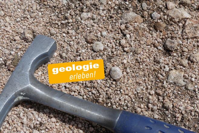 Brachiopoden und Seelilien-Stielglieder im Weg am Laubenstein