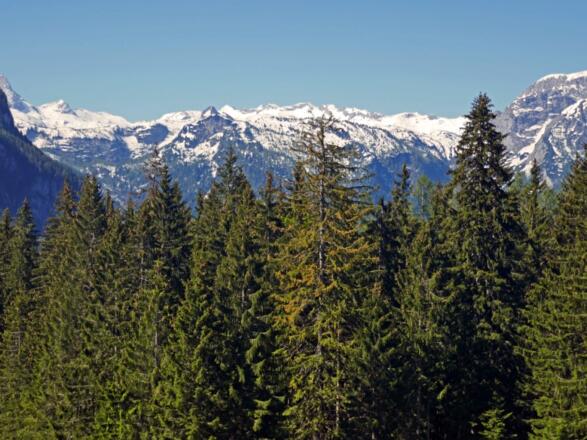 Blick zum Steinernen Meer