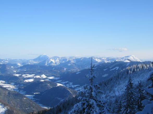Blick zum Ötscher, Scheiblingstein und Dürrenstein vom Wasserkopf