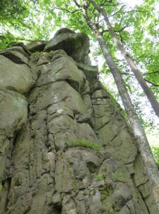 Burgruine Sengersberg