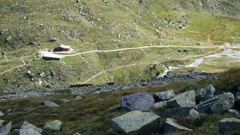 Pfitscher Joch Alm