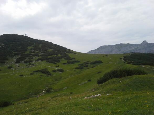 Am Grad zum Roßkogel