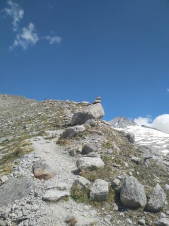 Gut erkennbarer Weg mit Steinmännchen auf der Seitenmoräne
