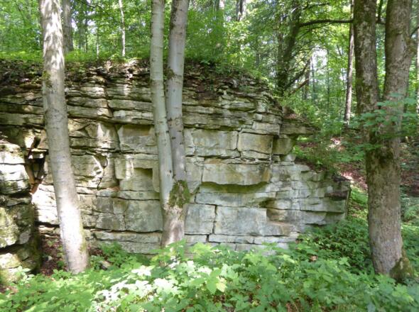 Kalkabbau am Buchberg