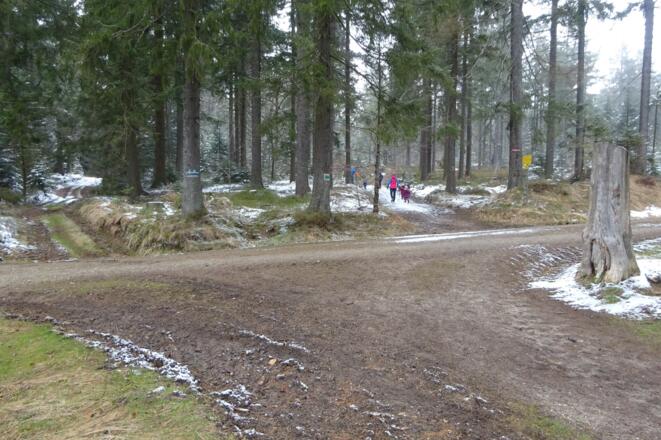 Immer den Wegweisern Bärenstein folgen