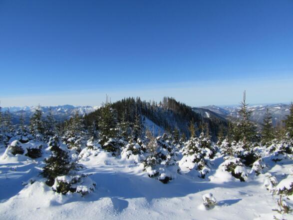 Blick vom Aubodenkopf zum Haitzmanneck