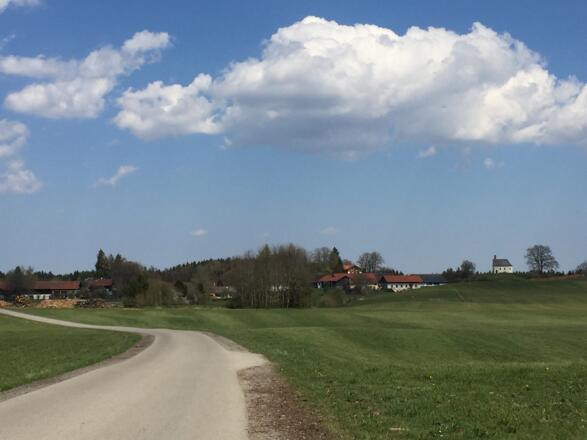 Eulenschwang