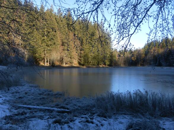 Filblingsee