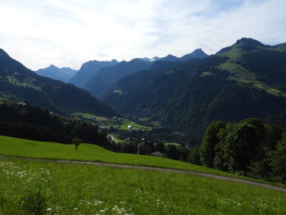 Blick in Richtung Buchboden