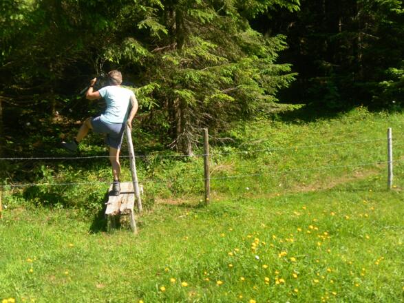 Weidezaunüberstieg