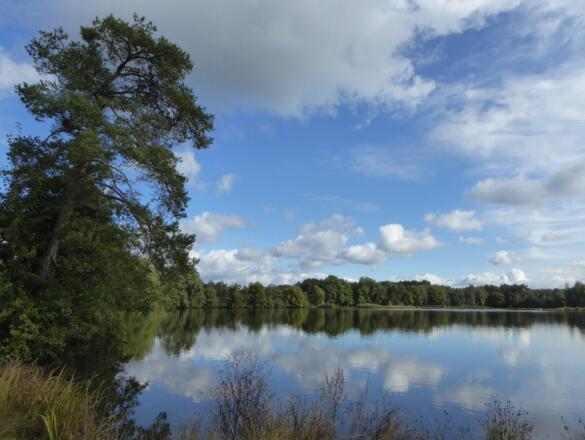 Charlottenhofer Weihergebiet - Hausweiher