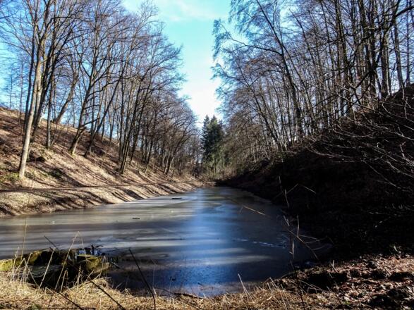 Kleiner Weiher vor Altenthann
