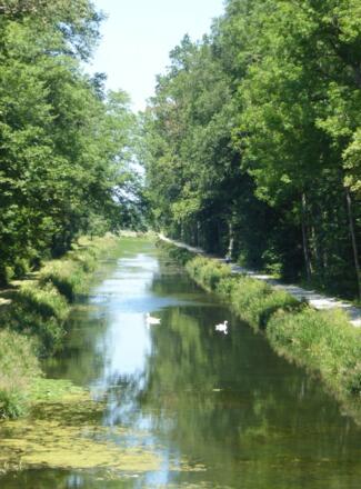 "Alter Kanal"