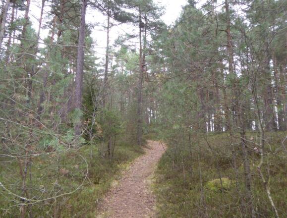 am Thurasdorfer Berg entlang