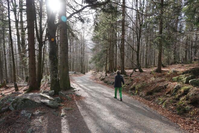 Winterweg vom Schutzhaus im Abstieg