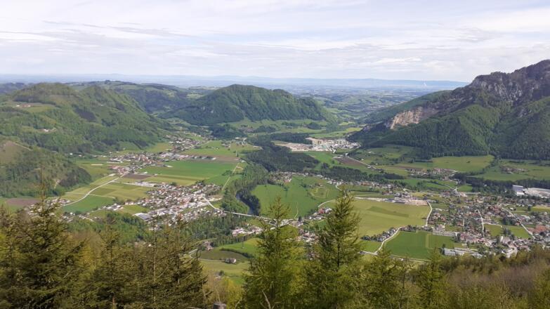 Blick ins Tal der Steyr