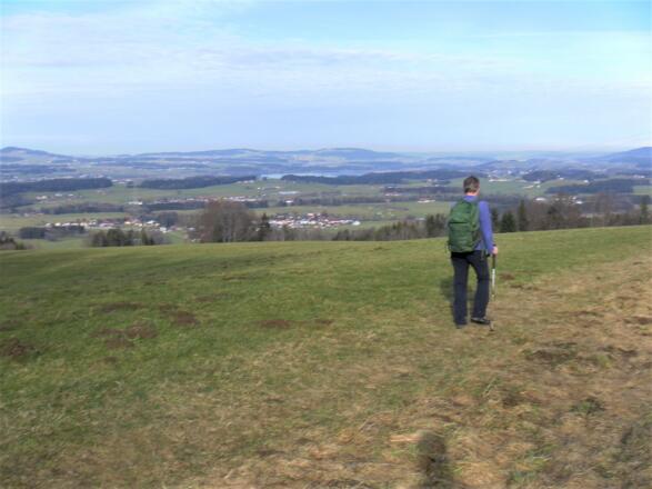 Wallersee vom Eugendorfer Berg Ostrücken