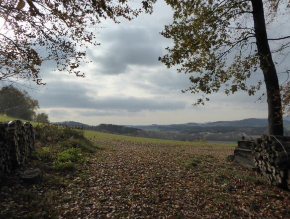 Waldweg nach Weingarten