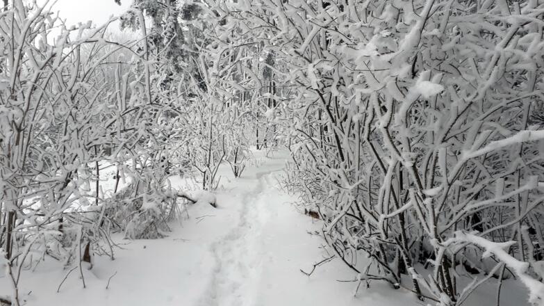 Raureifgasse um 1000m