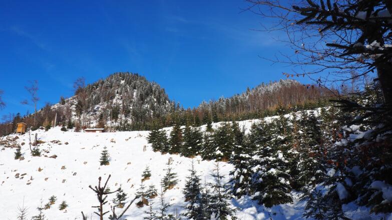 Windhagkogel Ostgipfel und Jagdhütte