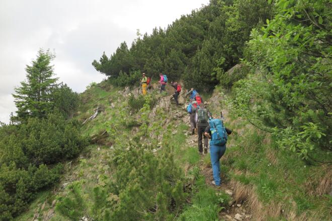 Pfad zum Nordgrat des Aiplspitz