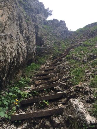 Sehr komfortabel versichert