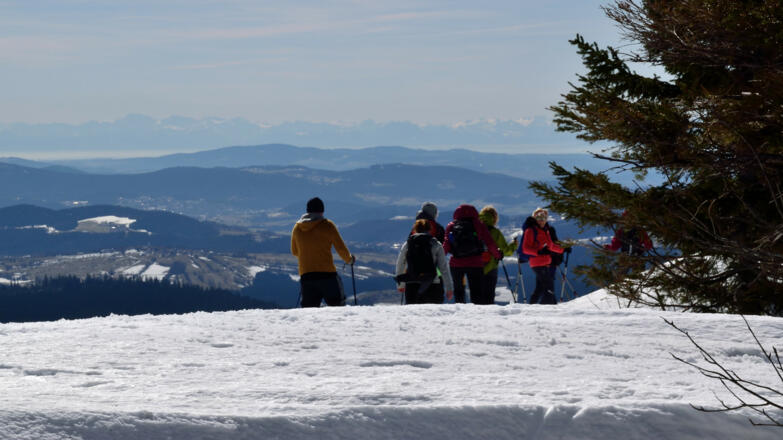 Alpenblick